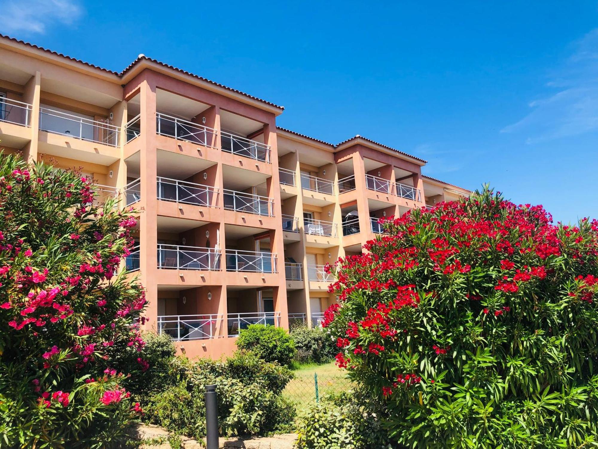 Superbe T2 Vue Mer - Piscine & Plage A 100M Ajaccio  Exterior photo